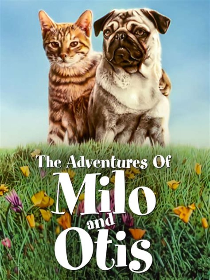 Adventures of Milo & Otis Movies on Google Play