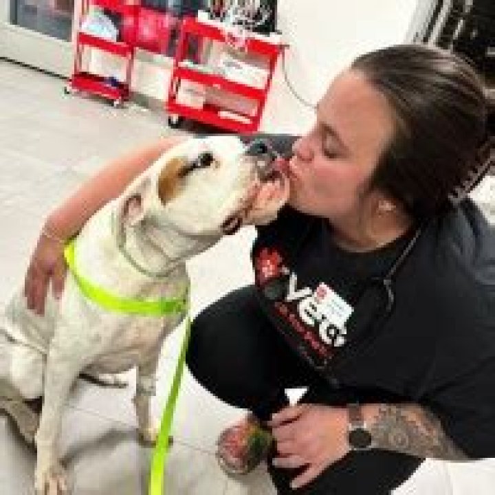 Courtney Fisher, RVT posted on LinkedIn