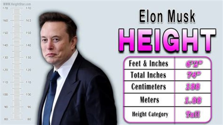 Elon Musk Height (Feet, Inches, CM), Weight, Age, Bio &mdash; HaiKhuu Trading