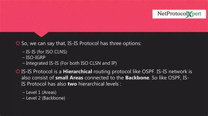 Is 'Rambo 5' on the Way?
