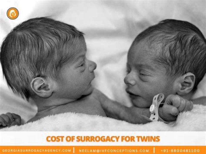 Twins by Surrogacy Is it Possible? Family Creations Blog